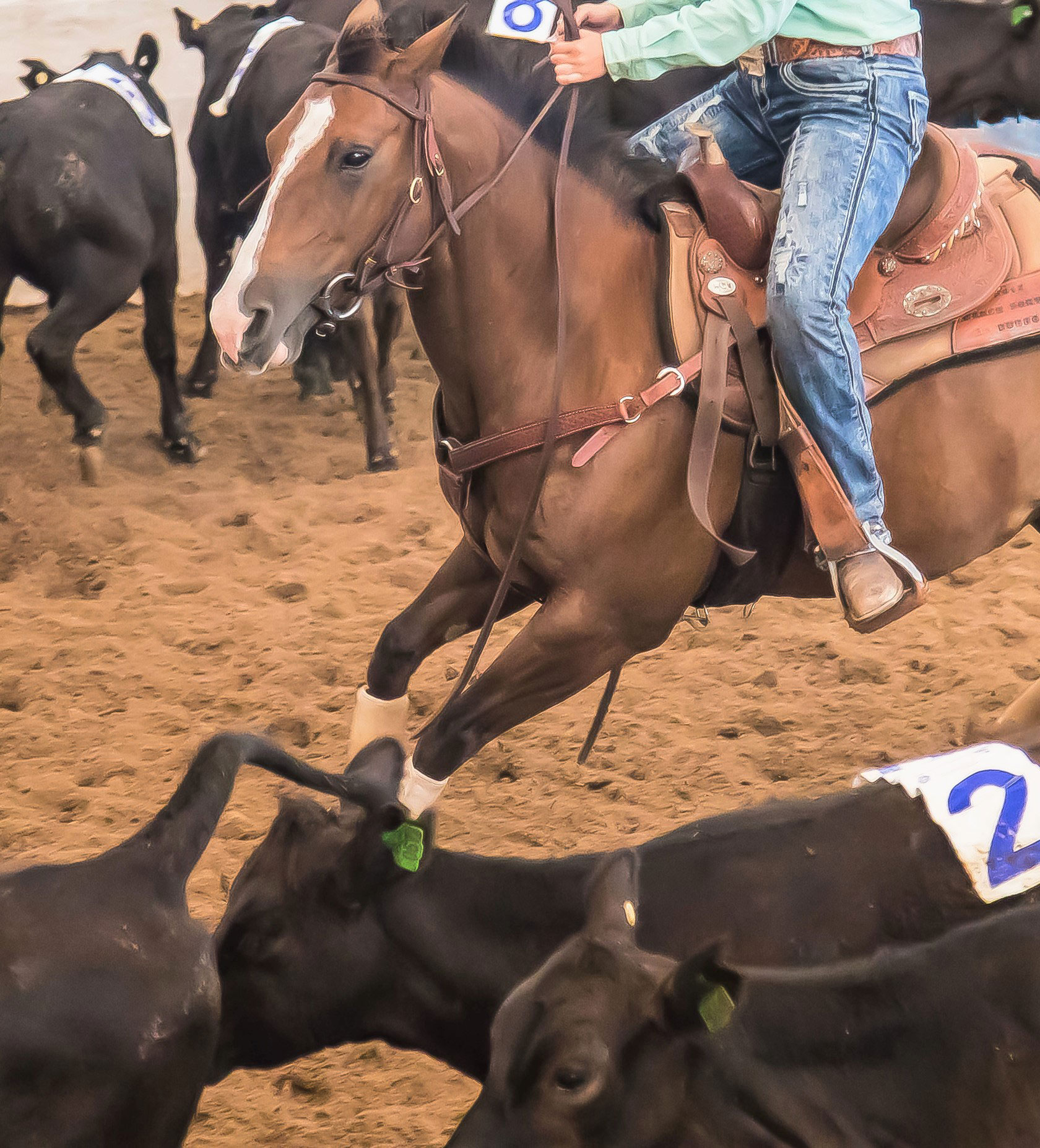 What is Ranch Sorting